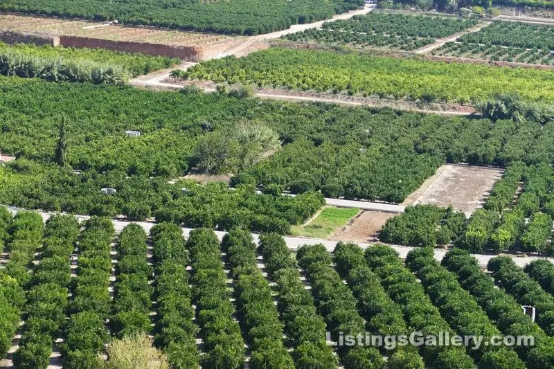00286 Costa Blanca